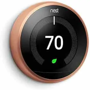 Nest